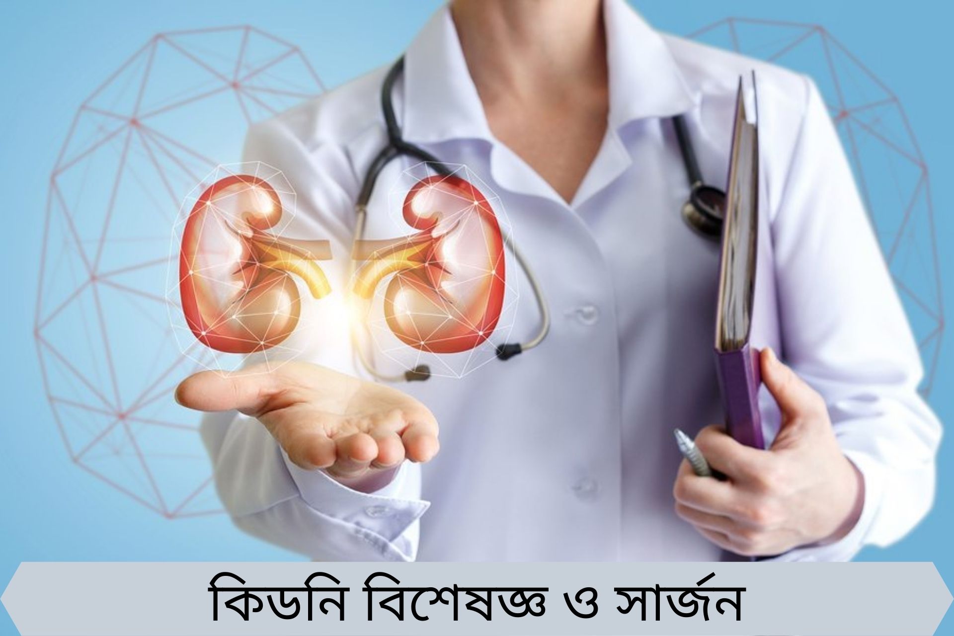 কিডনি বিশেষজ্ঞ ডাক্তার, নেফ্রোলজিস্ট